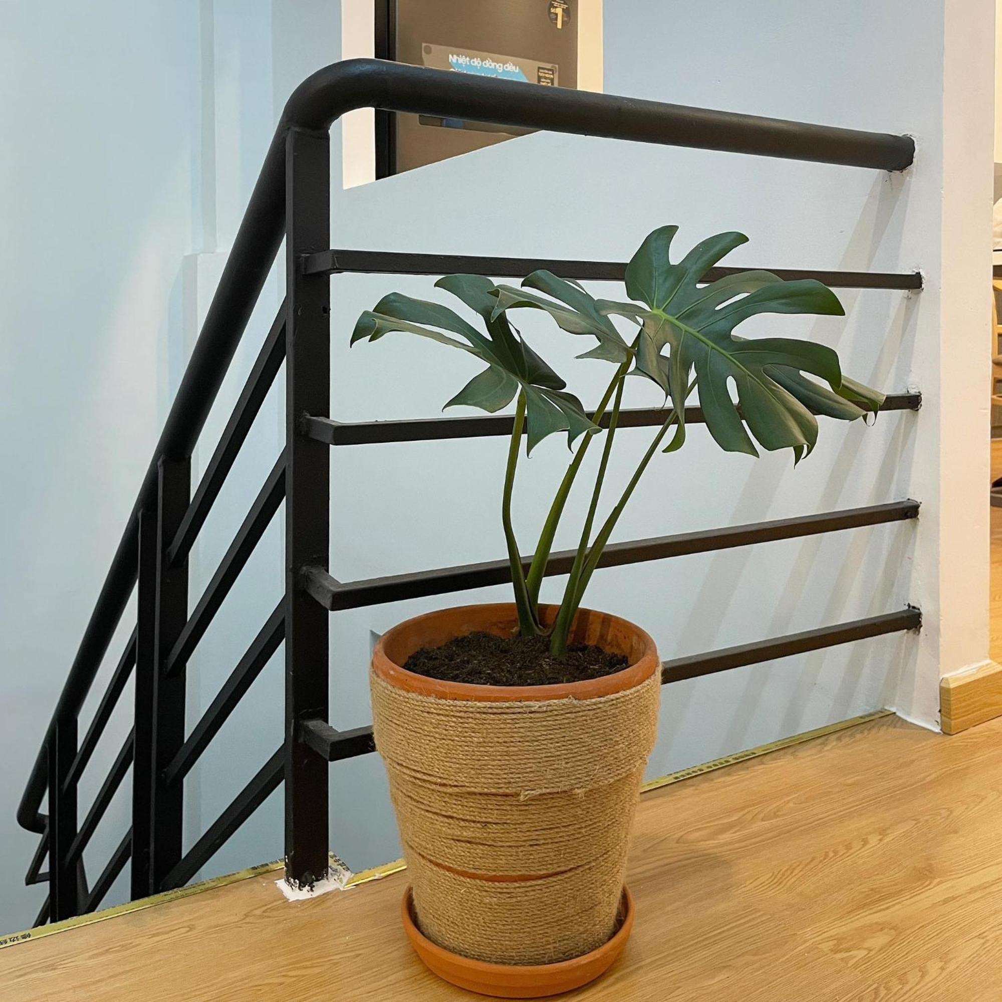 Alphabet Home Capsule 胡志明市 外观 照片